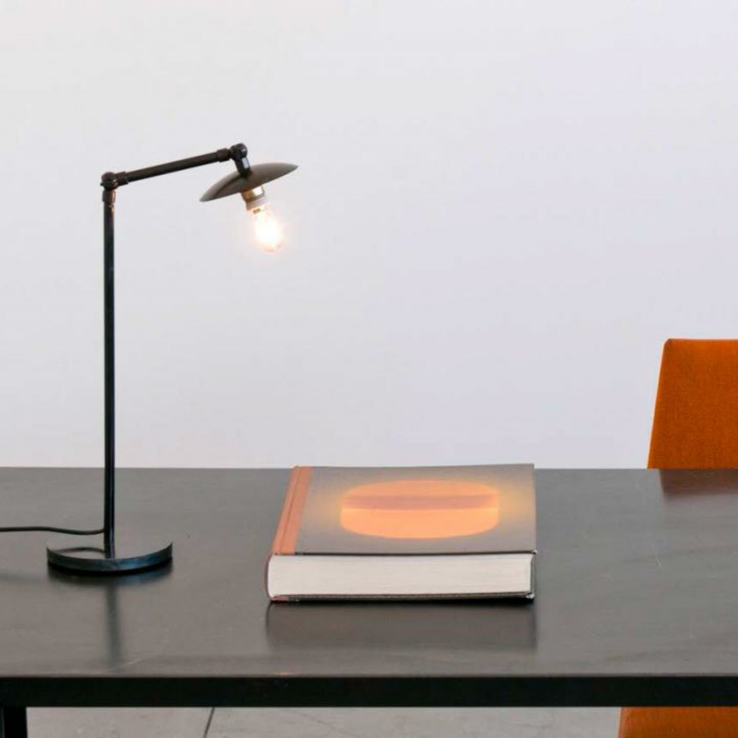Bonsai Table Lamp